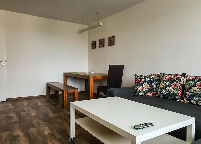 Schmiedeberg U Klínovce Apartmán *