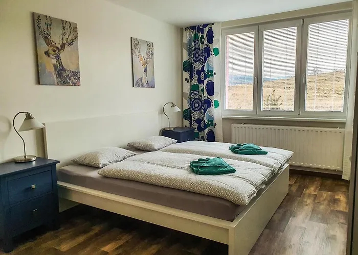 Apartmán Schmiedeberg U Klínovce *